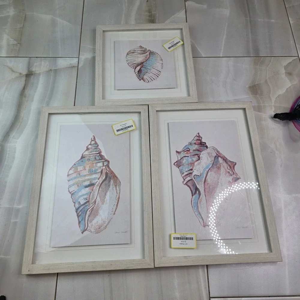 Lanie Loreth Seashell Framed Art Set 3 Coastal Nautical Watercolor Wall Decor‎